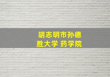 胡志明市孙德胜大学 药学院